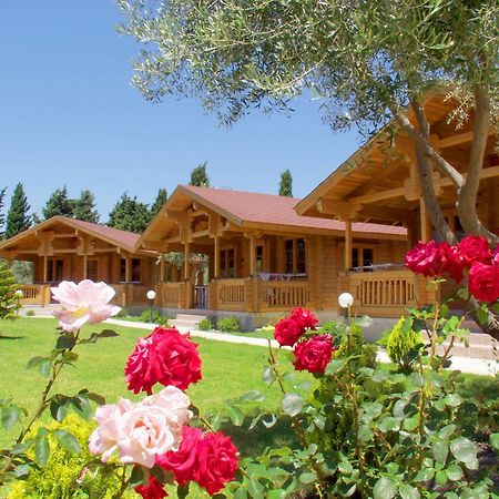 Sandy'S Studios Apartments & Log-Villas Kos-Stadt Exterior foto