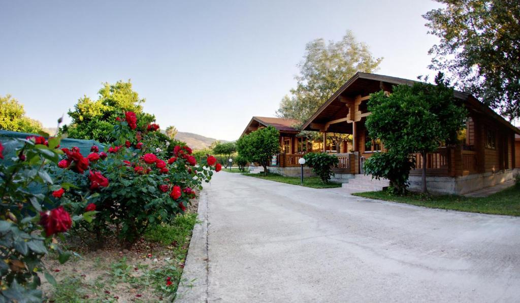 Sandy'S Studios Apartments & Log-Villas Kos-Stadt Exterior foto