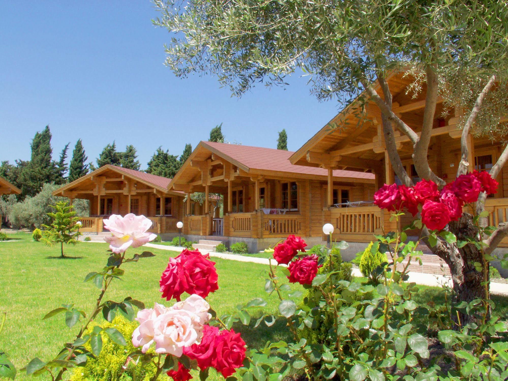 Sandy'S Studios Apartments & Log-Villas Kos-Stadt Exterior foto